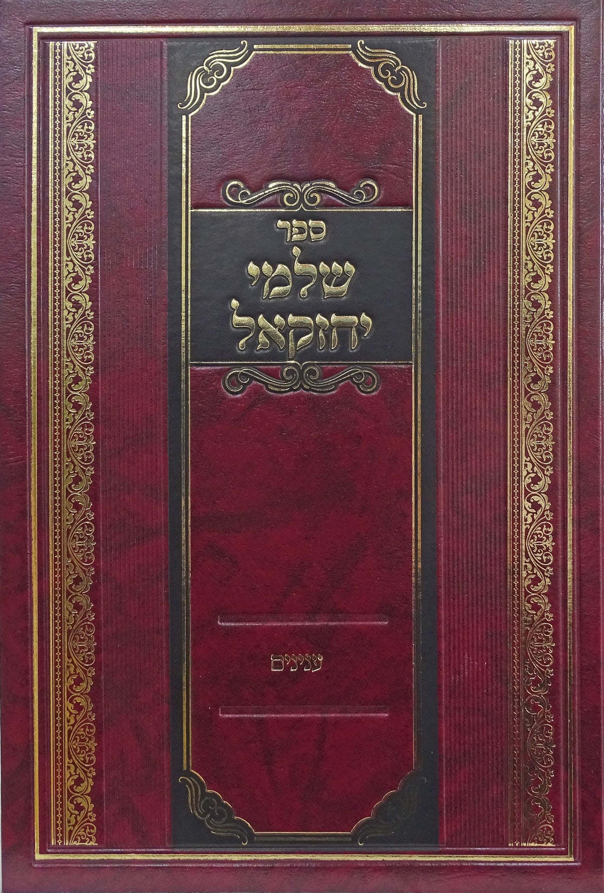 שלמי יחזקאל - ענינים
