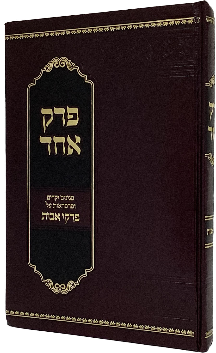 פרק אחד על פרקי אבות