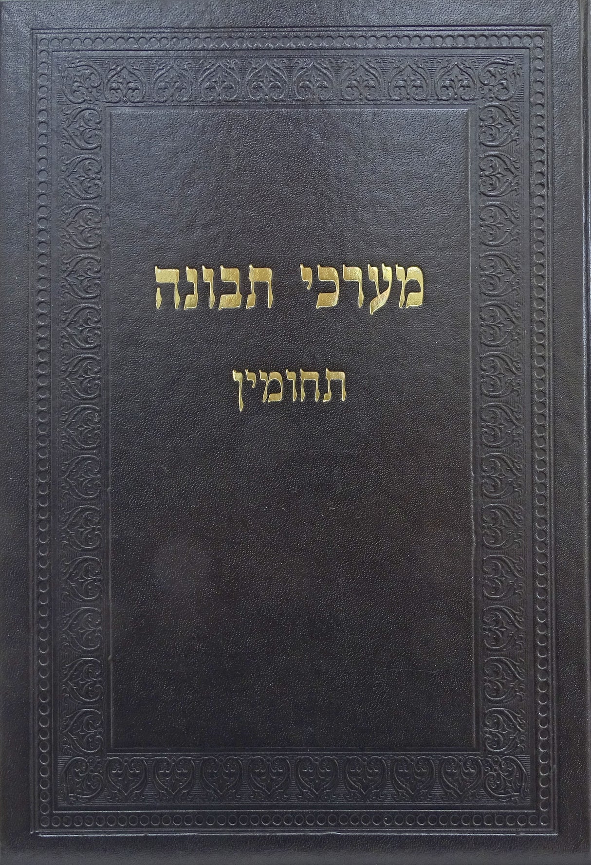 מערכי תבונה -תחומין