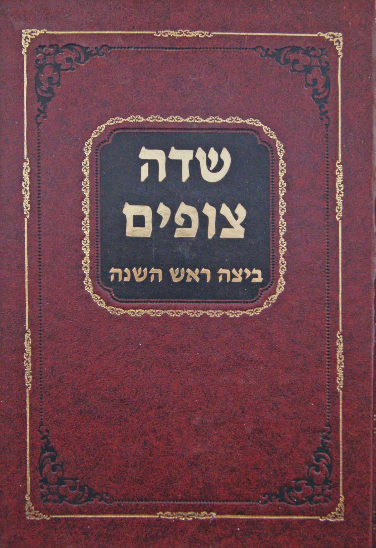 שדה צופים - מסכת ביצה ראש השנה