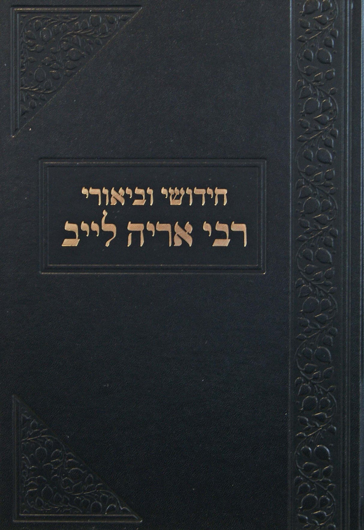 חידושי וביאורי רבי אריה לייב