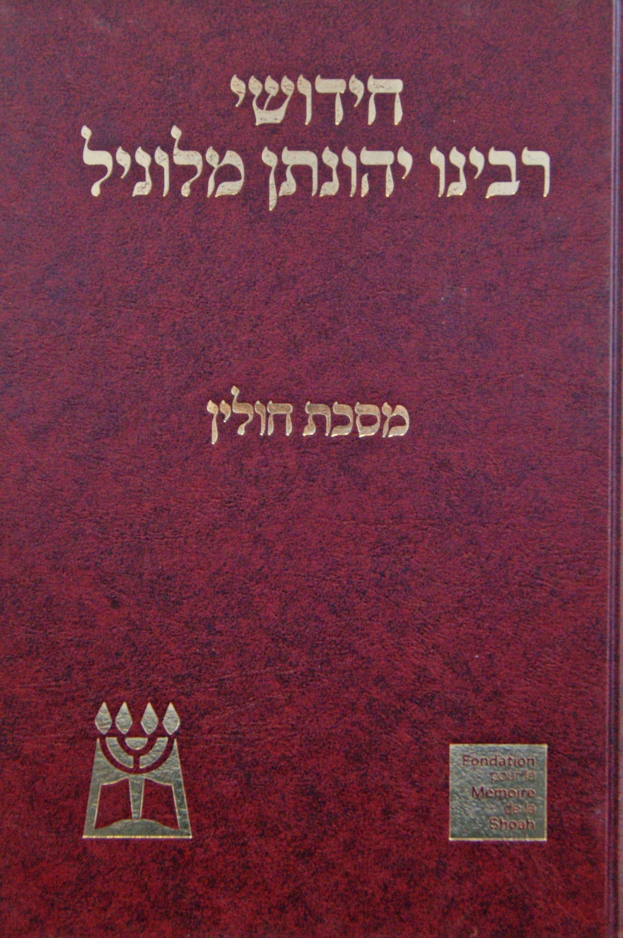 חידושי ר' יונתן מלוניל מס' עבודה זרה