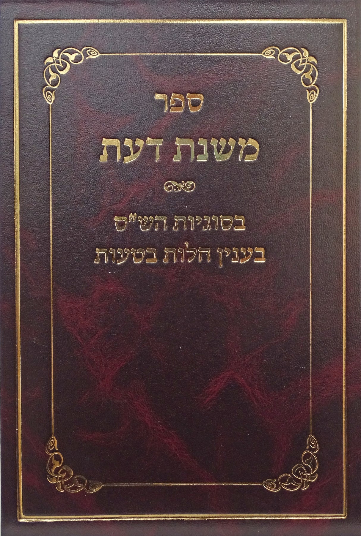 משנת דעת - בסוגיות הש"ס בענין חלות בטעות