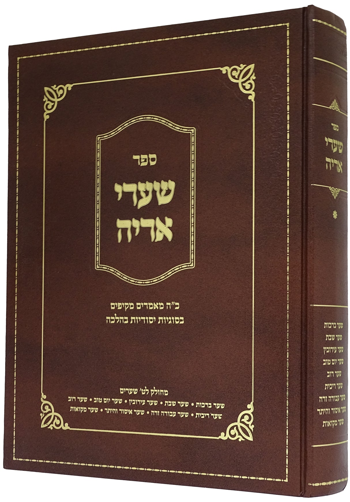 שערי אריה - בסוגיות בהלכה