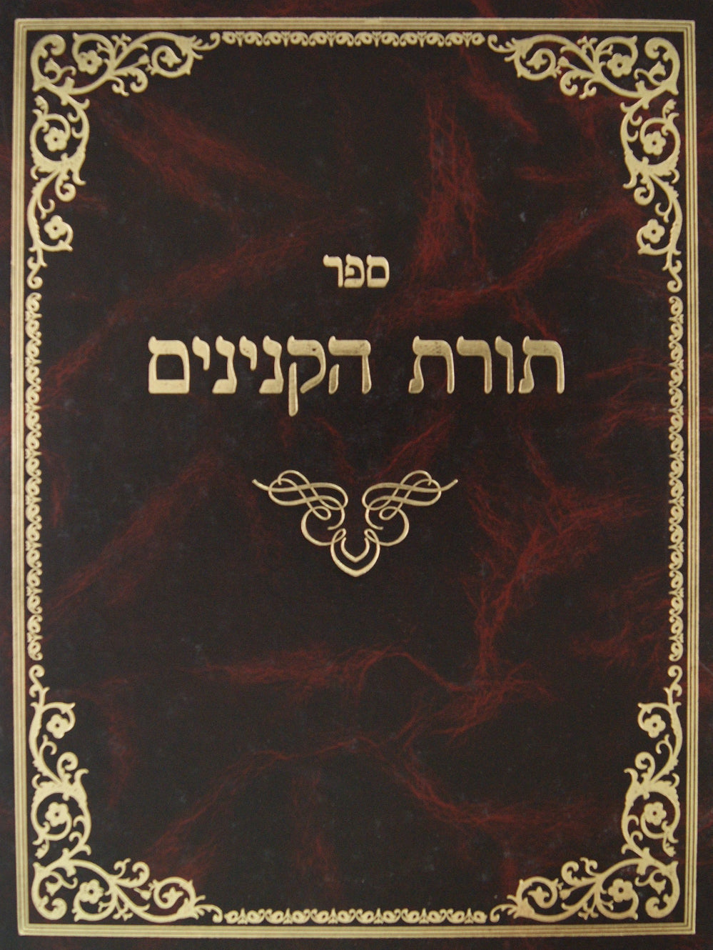 תורת הקנינים חלק א