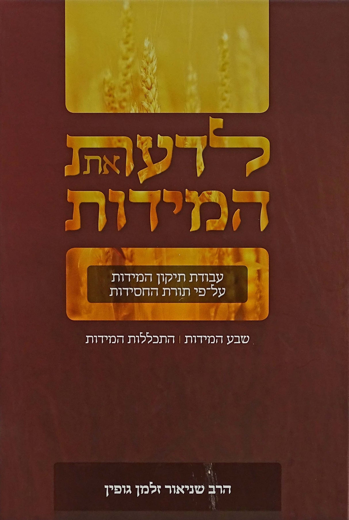 לדעת את המידות - שבע המידות|התכללות המידות