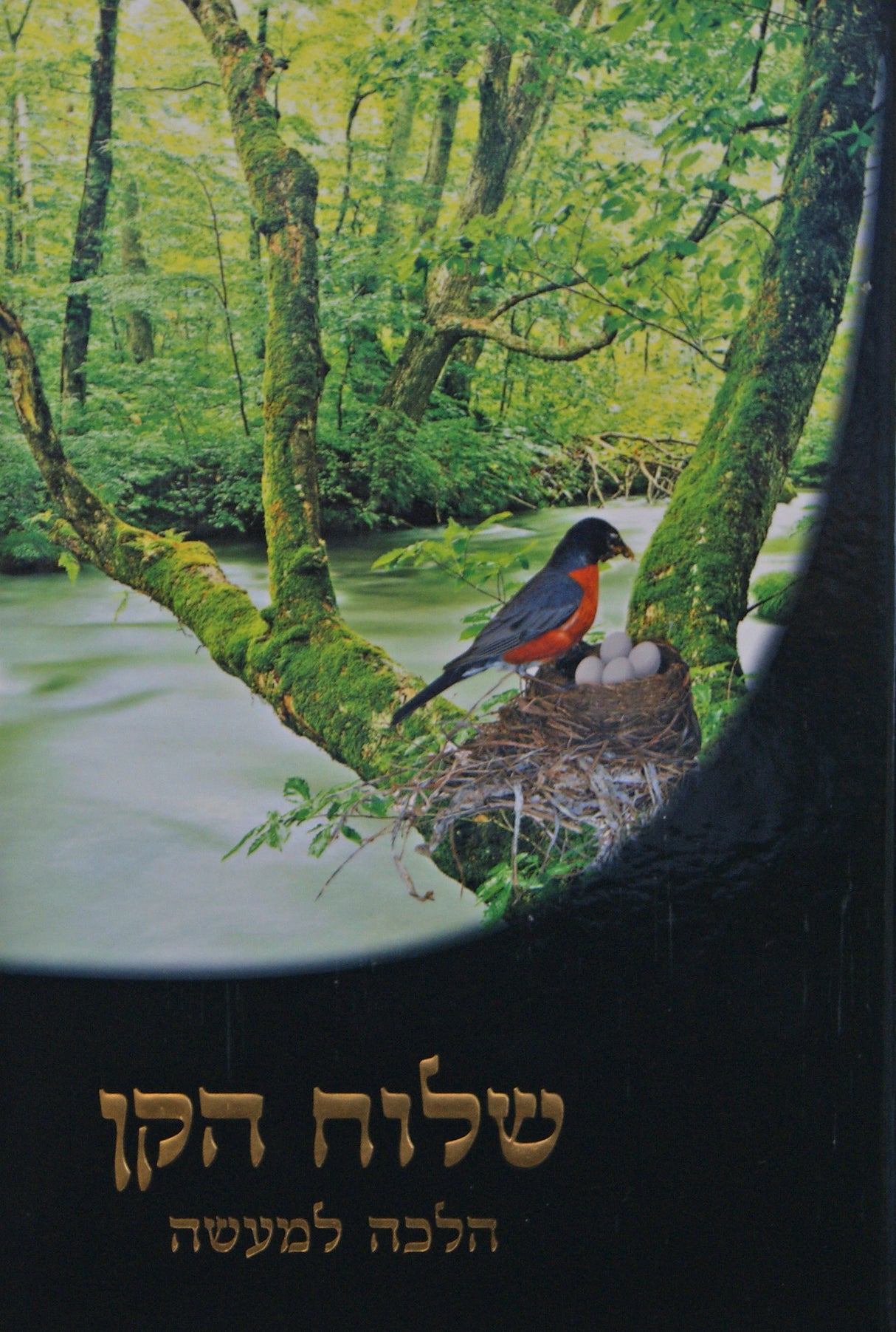 Shiluach Haken - שלוח הקן