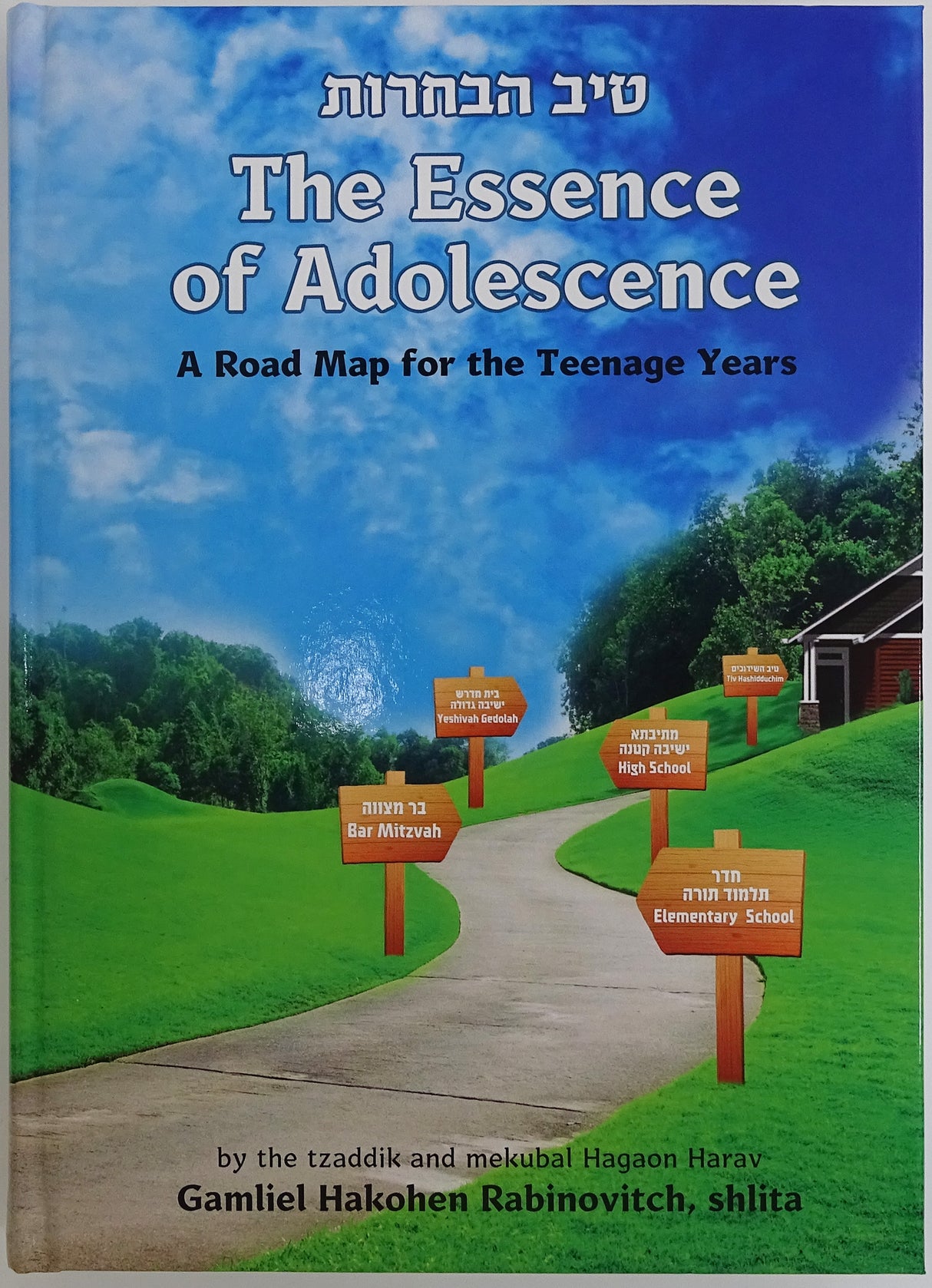 The Essence of Adolescence