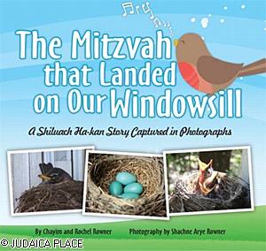 Mitzvah That Landed On My Windowsill