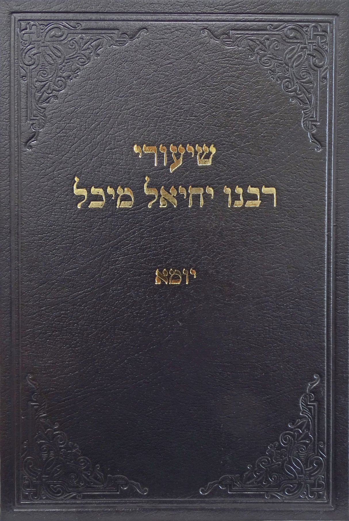 שיעורי רבנו יחיאל מיכל - יומא ב