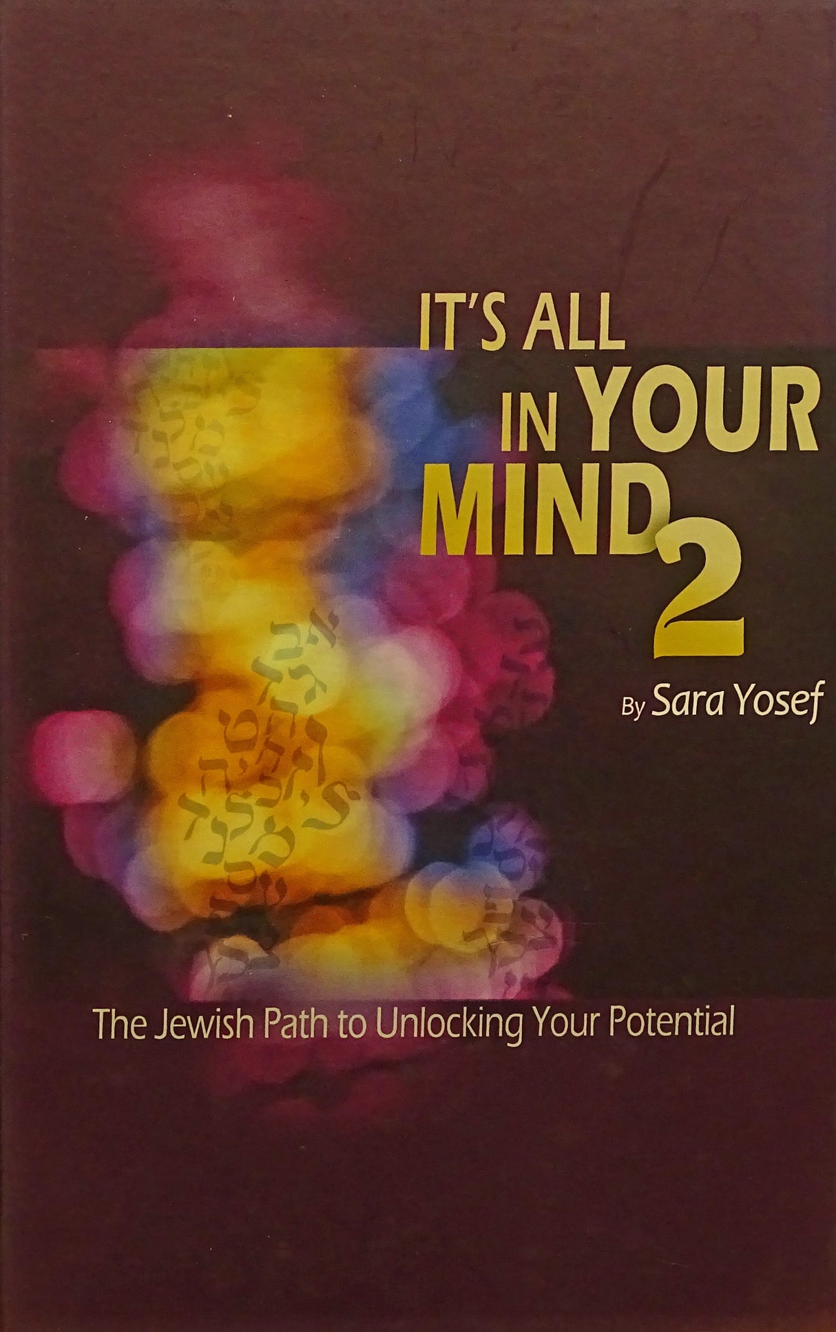 It's All in Your Mind 2 - The Jewish Path to Unlocking Your Potential