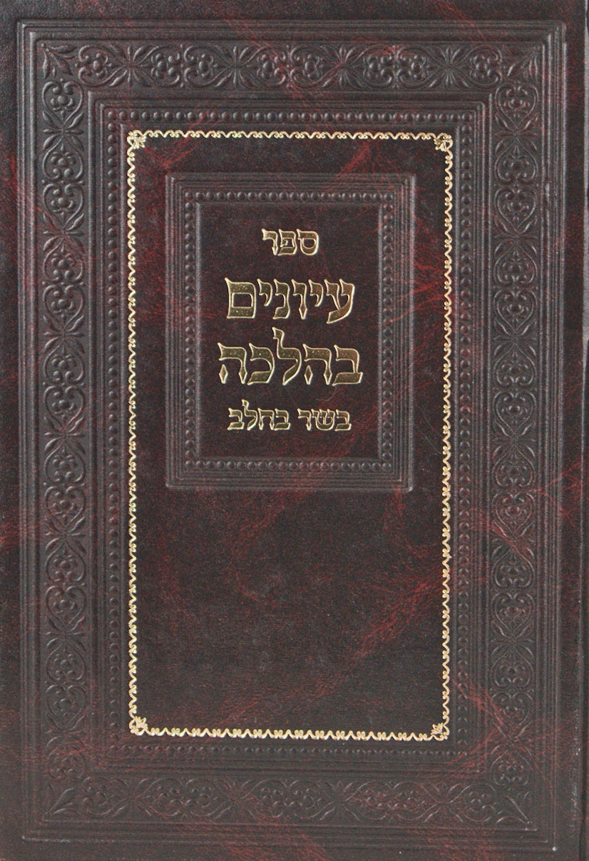 עיונים בהלכה - בשר בחלב