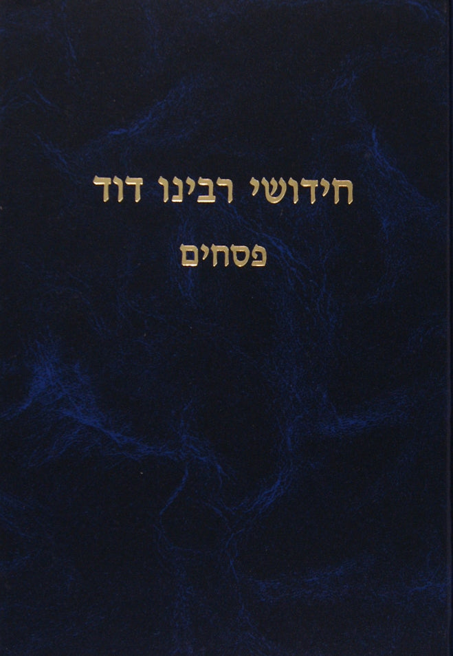 חידושי ר' דוד - פסחים