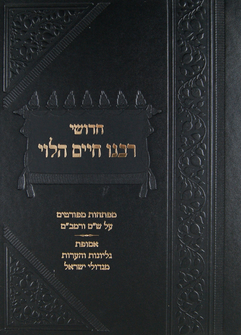 הגר"ח על הרמב"ם עם גליונות והערות מגדולי ישראל