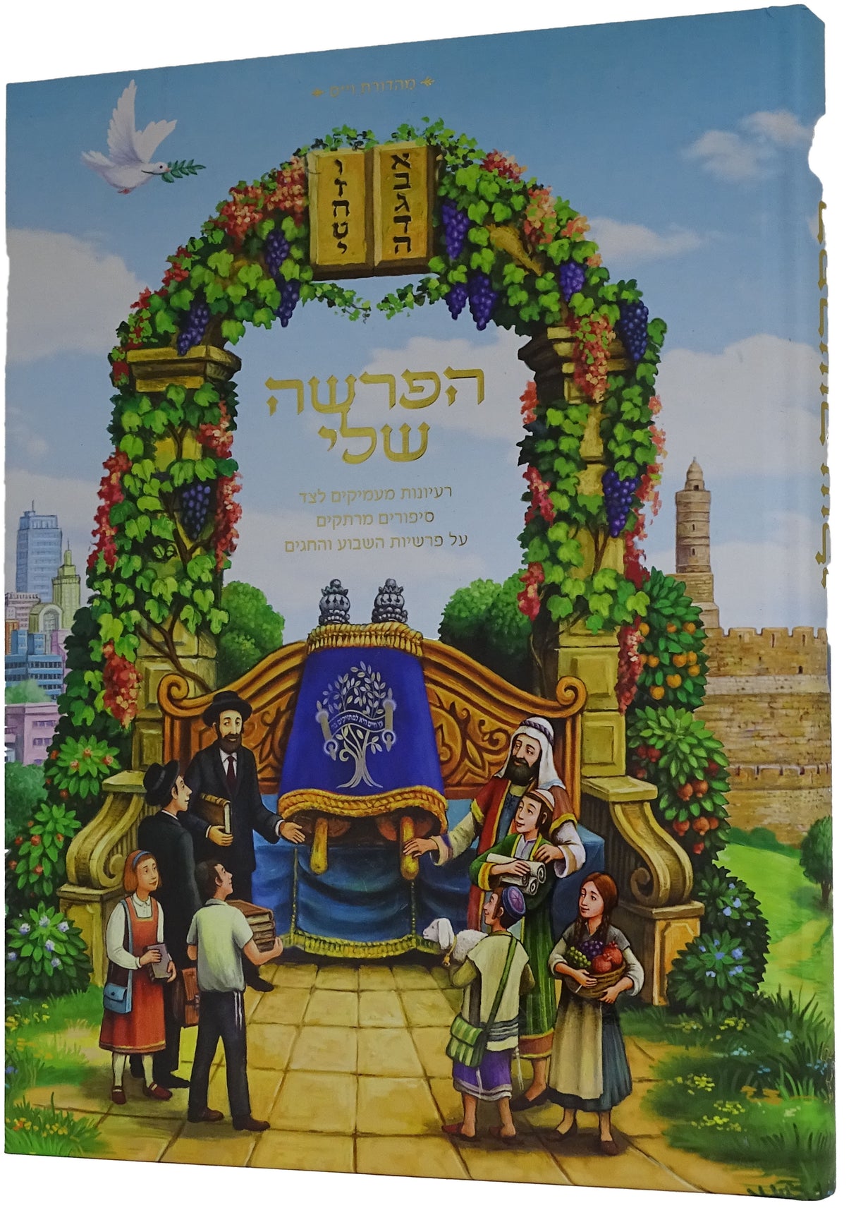 הפרשה שלי