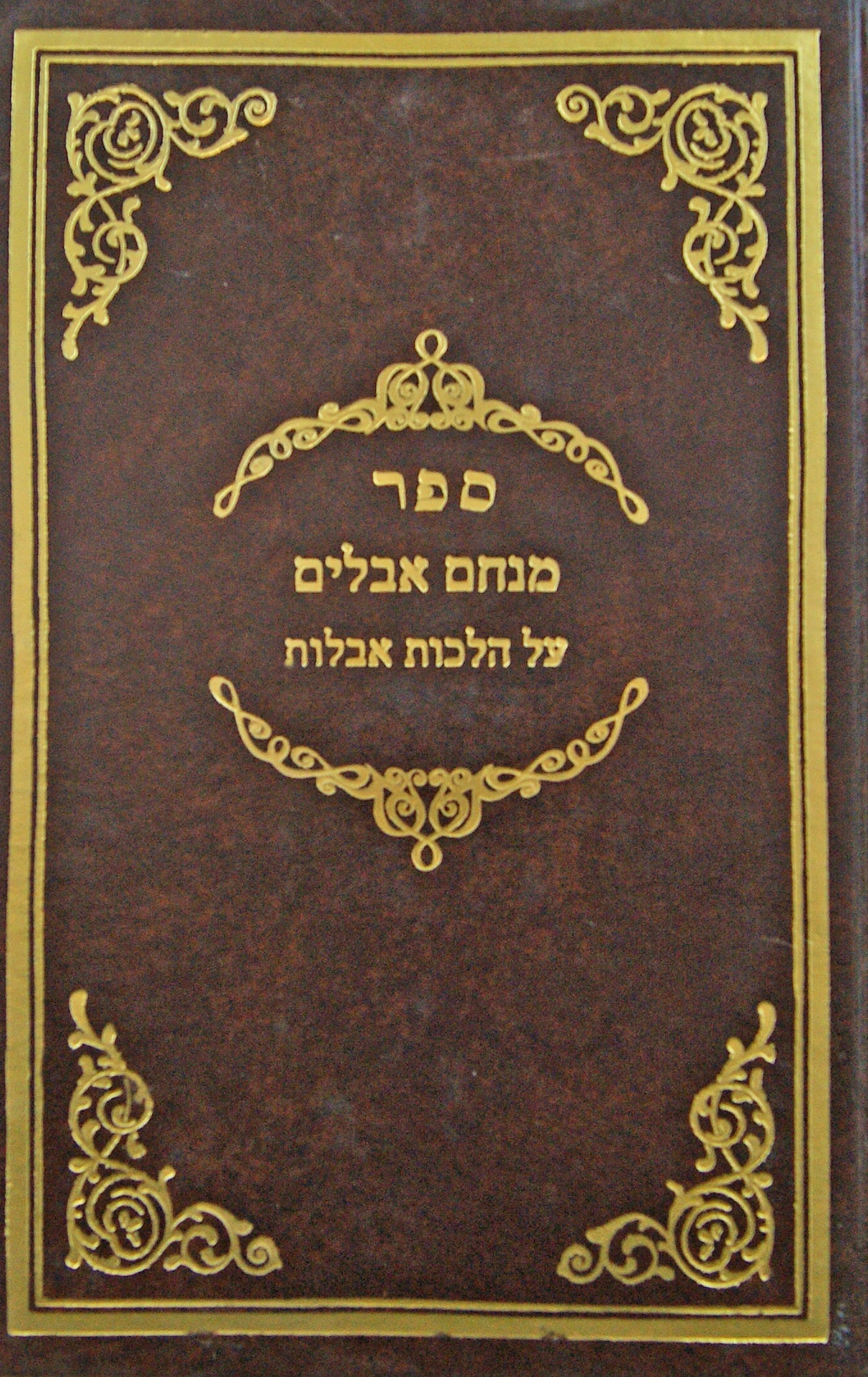 מנחם אבלים על הלכות אבלות