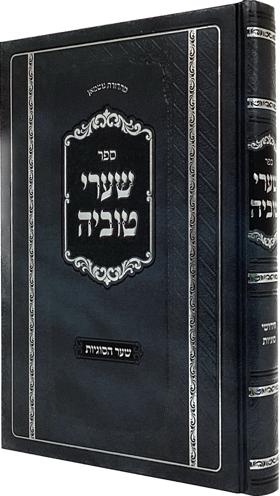 שערי טוביה - שערי סוגיות