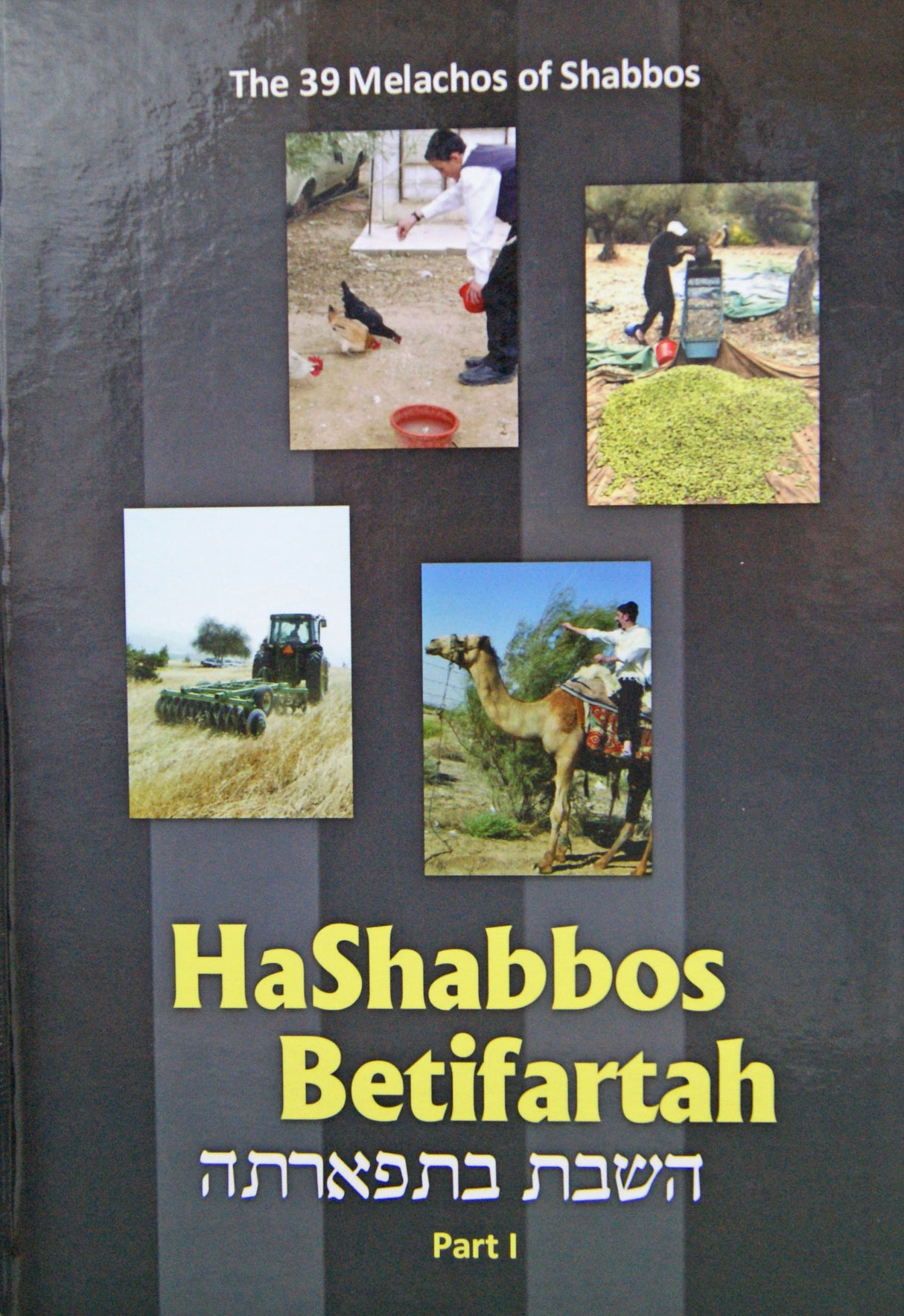 HaShabbos Betifartah Part 1 - Practical Illustrated Guide