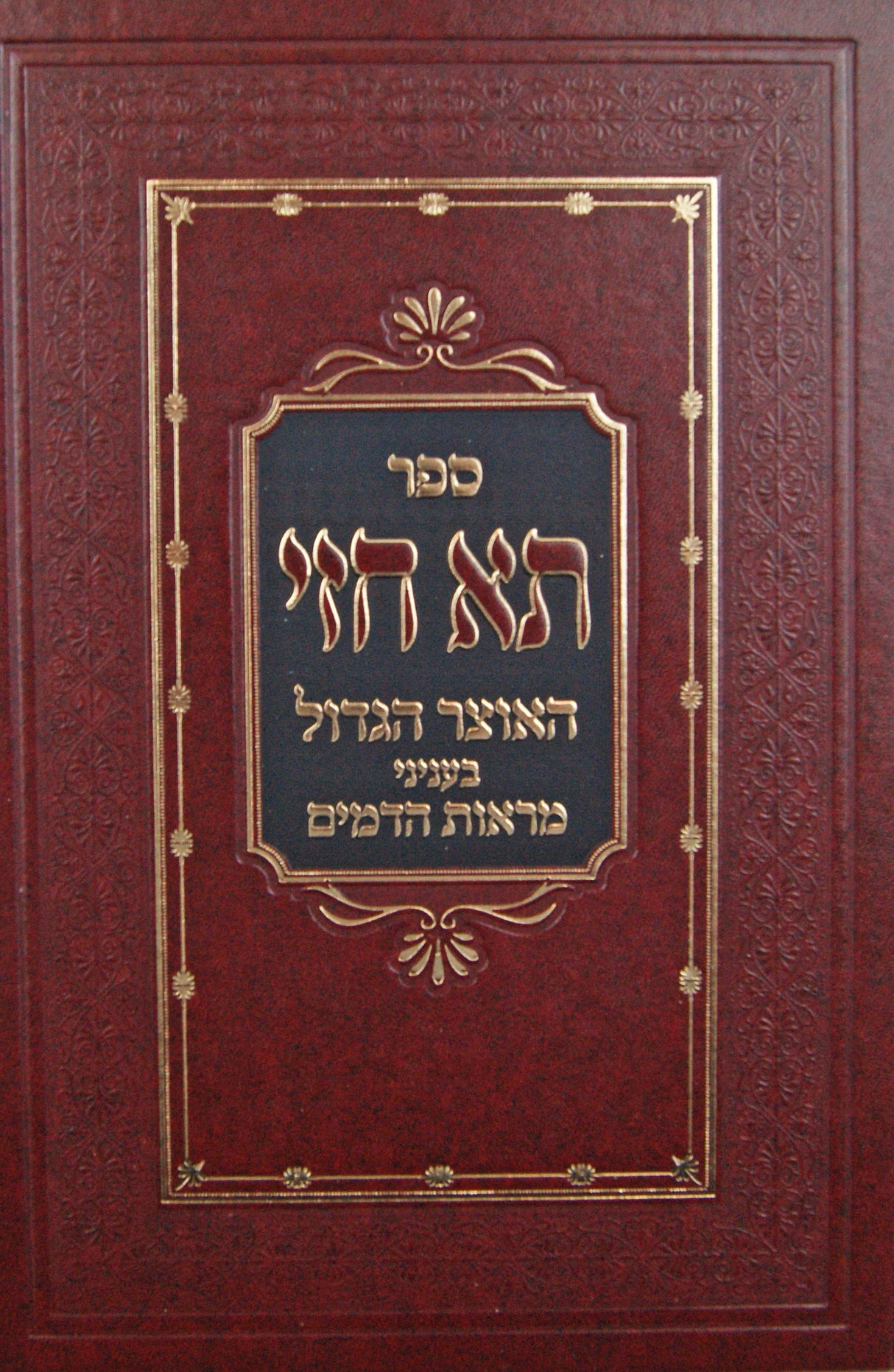 תא חזי חלק א - האוצר הגדול בעניני מראות הדמים