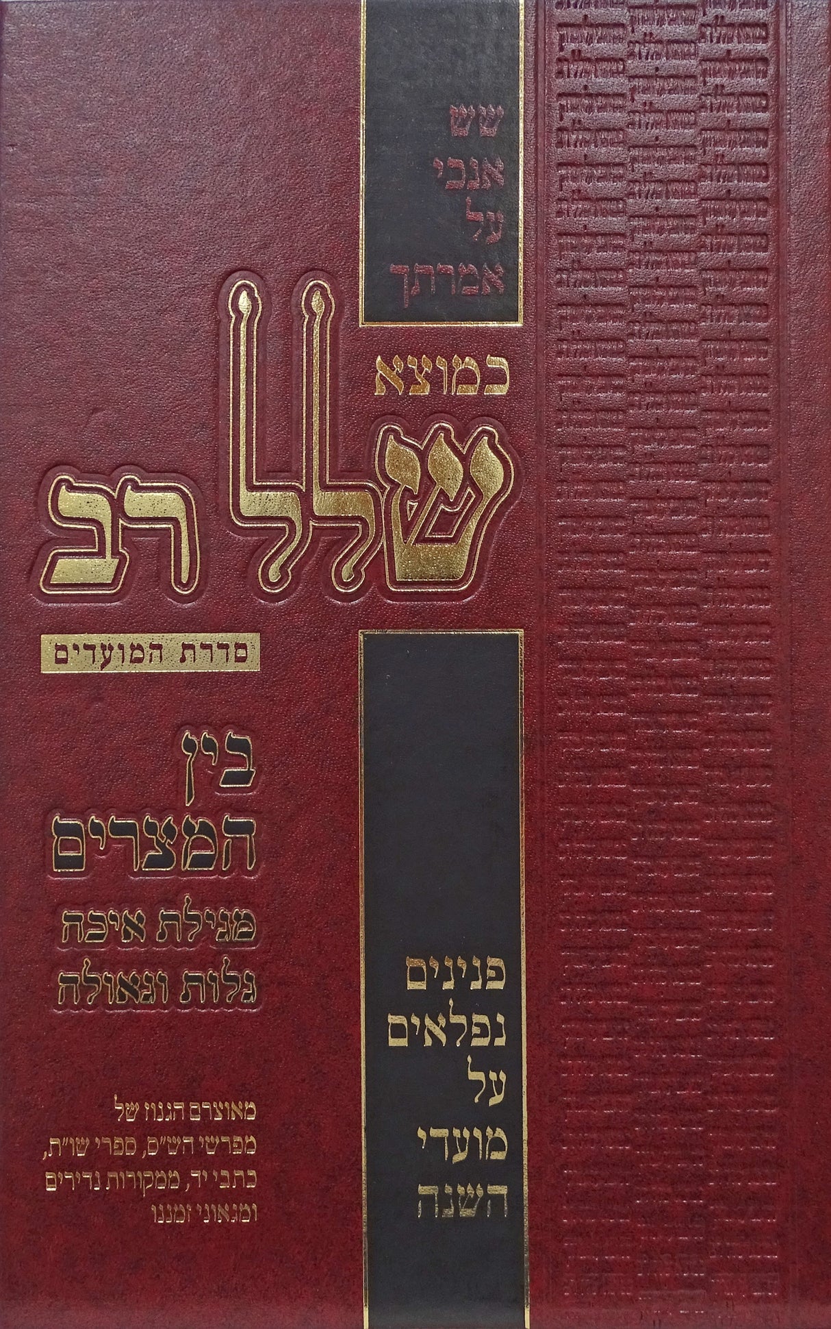 כמוצא שלל רב - בין המצרים