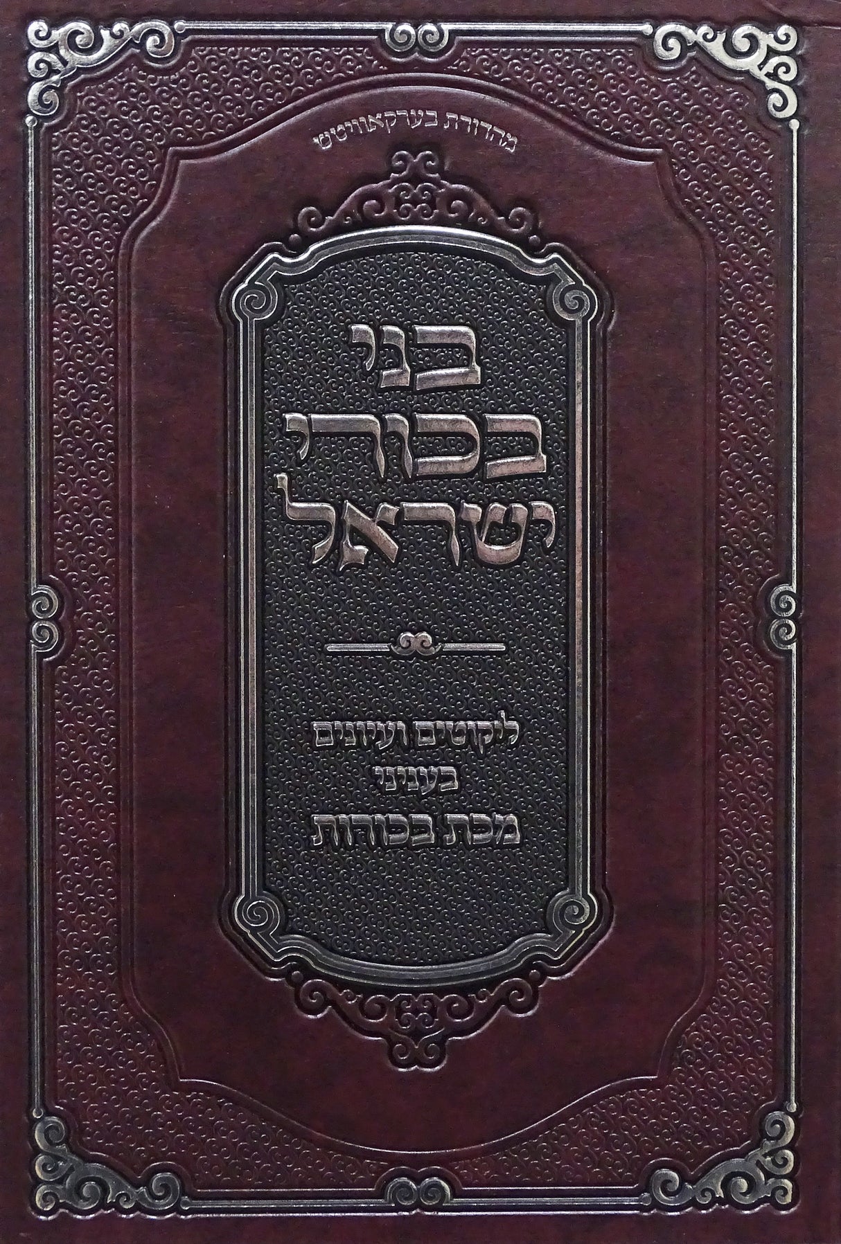 בני בכורי ישראל - בעניני מכת בכורות