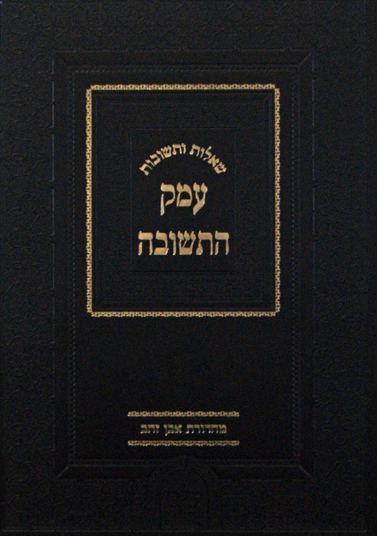 עמק התשובה שו"ת חלק ט