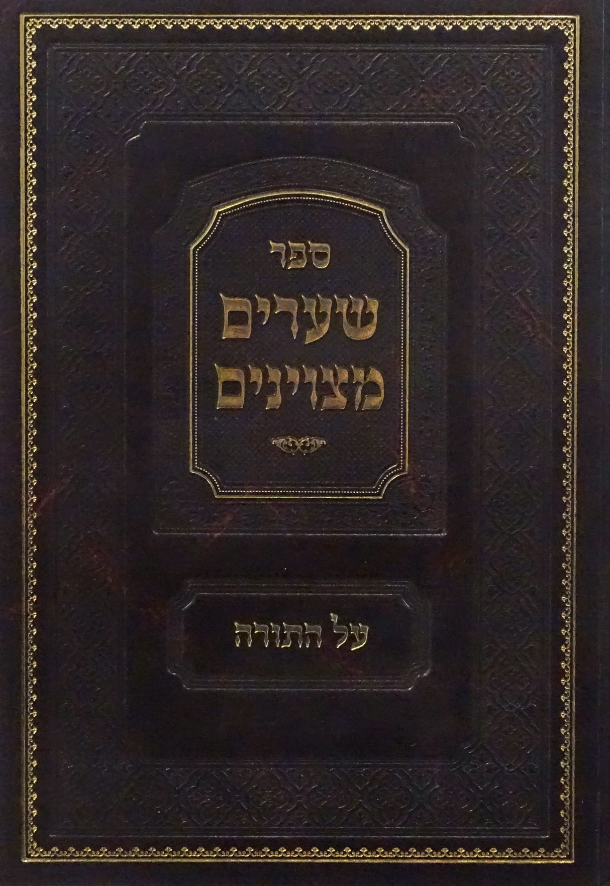 שערים מצוינים על התורה