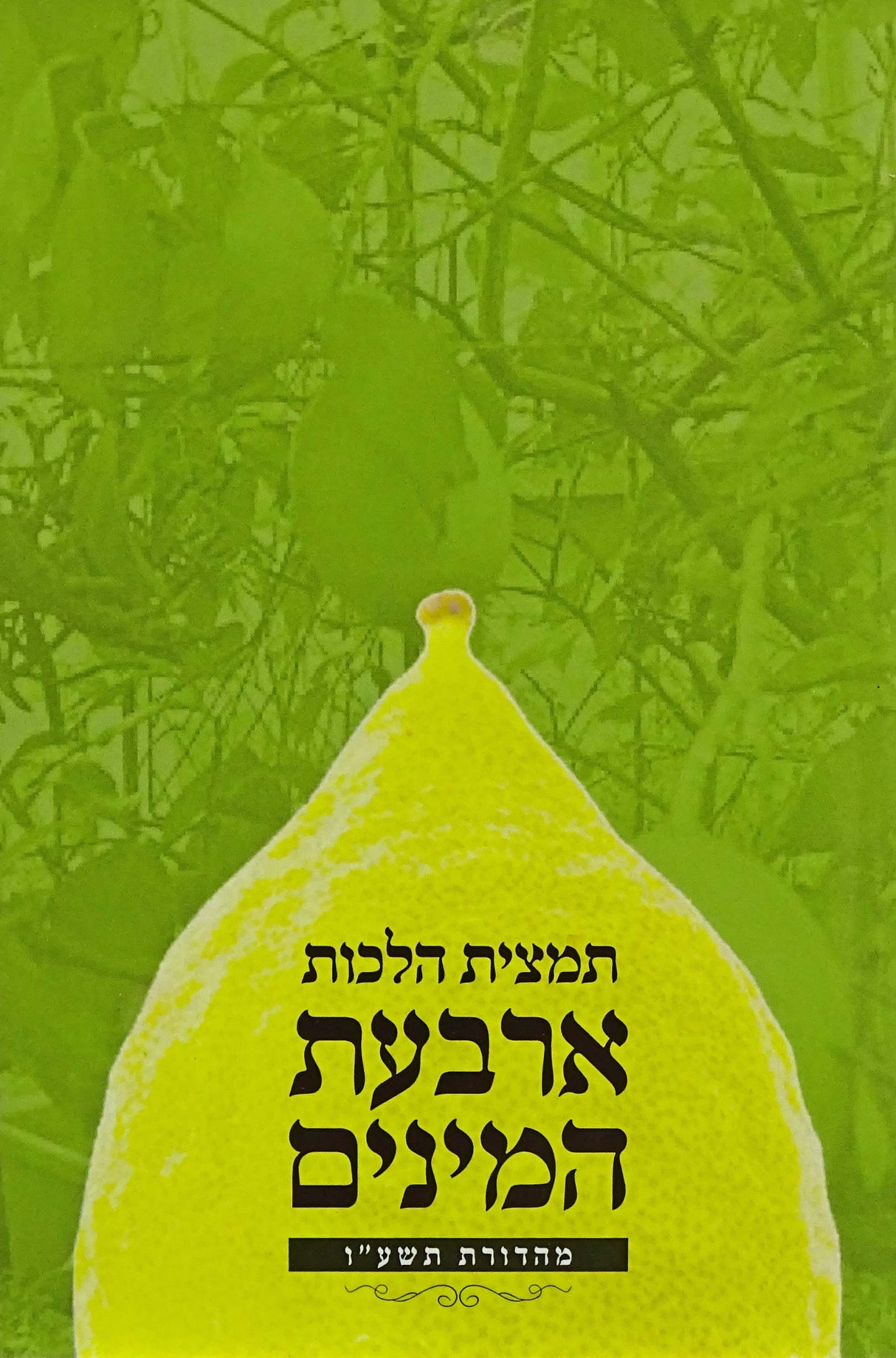 תמצית הלכות ארבעת המינים - כיס רכה