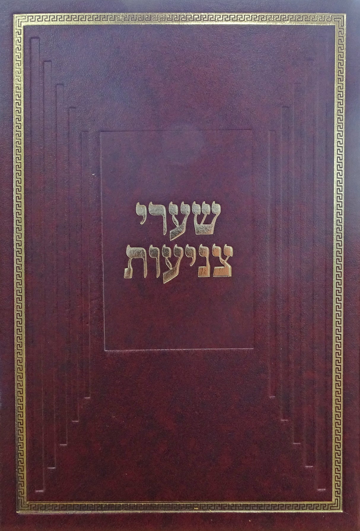 שערי צניעות