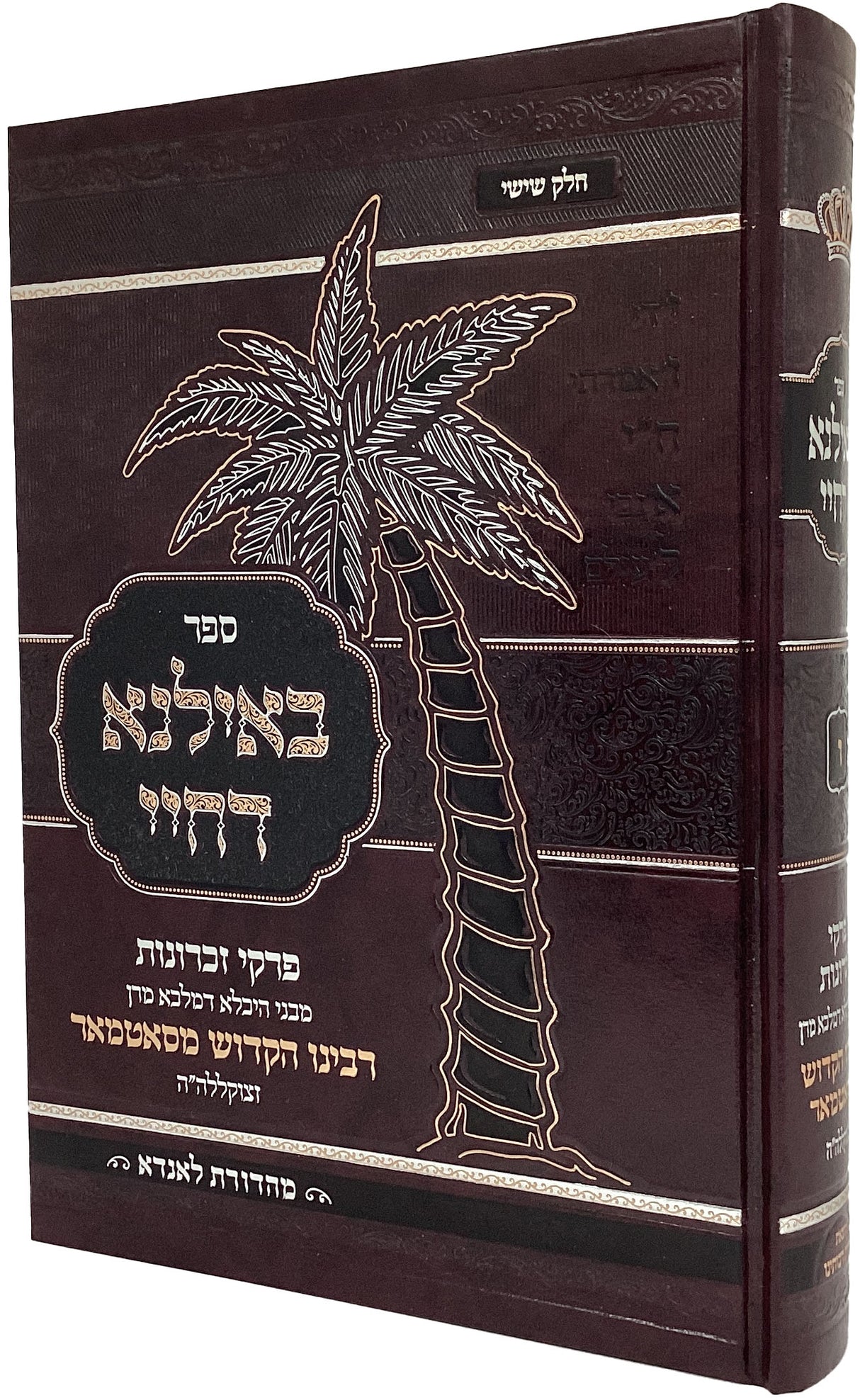 באילנא דחיי חלק ו - סאטמאר אידיש