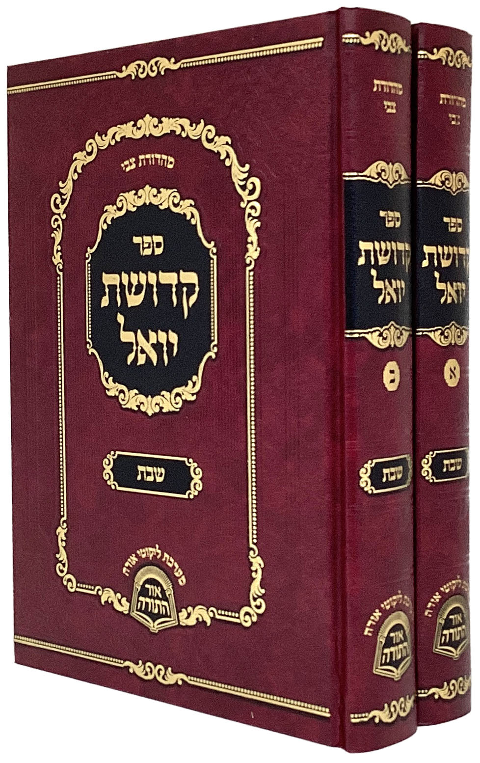 קדושת יואל שבת ב"כ