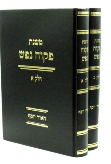 משנת פקוח נפש - האיר יוסף ב"כ