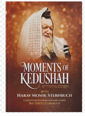 Moments of Kedushah - Harav Moshe Sternbuch