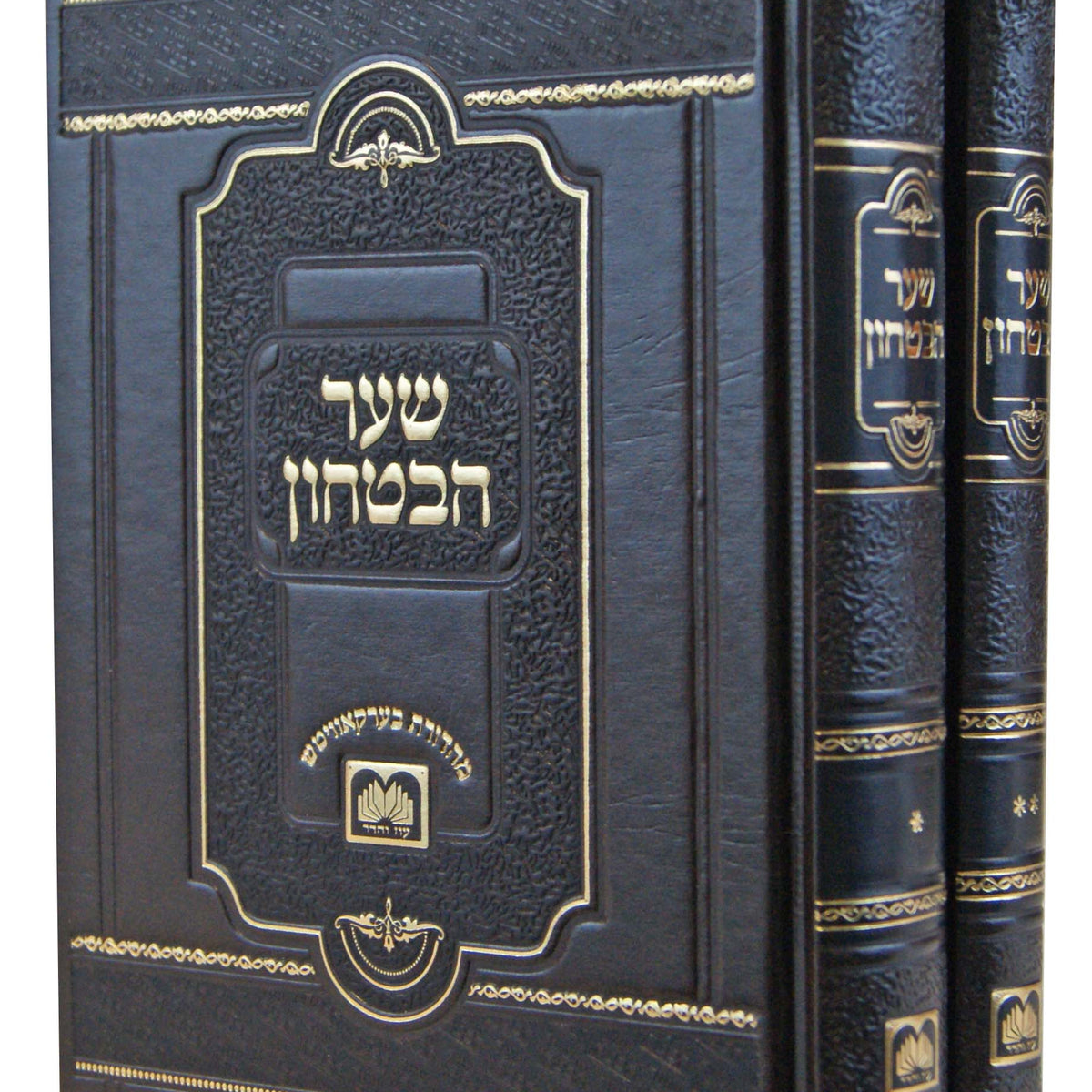 לקוטי אמרים תניא עם ביאור משולב ב פרק ט-יז – Lehmanns