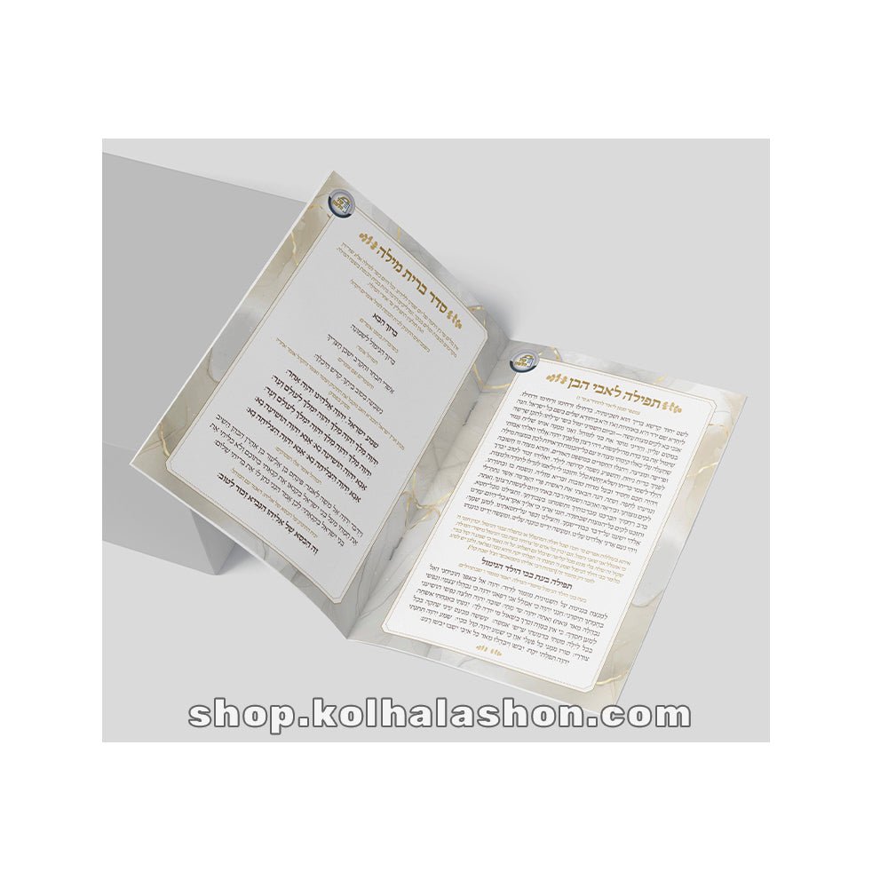 A Series of Nach Shiurim USB - Rabbi Yitzchok Breitowitz - Kol Haloshon