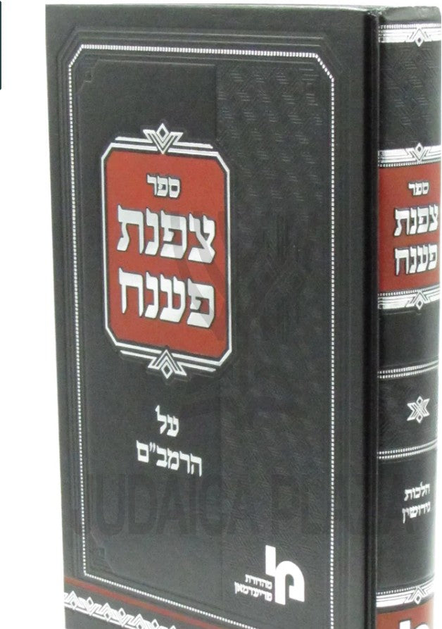 צפנת פענח על הרמב"ם הל' גירושין