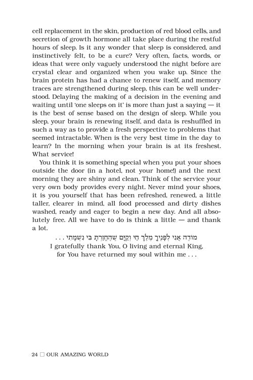 Artscroll: Our Amazing World by Rabbi Avrohom Katz