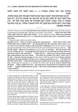 The Schottenstein Edition Sefer Hachinuch / Book of Mitzvos - Volume #5