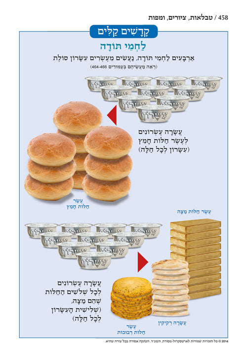 חומש תפארת מיכאל - ויקרא