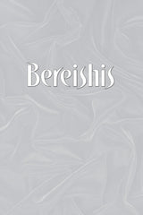 Artscroll: Rabbi Frand on the Parashah Volume 2 by Rabbi Yissocher Frand