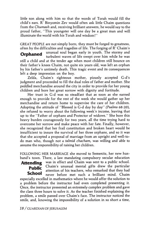 Guardian Of Jerusalem - The life and times of Rabbi Yosef Chaim Sonnenfeld