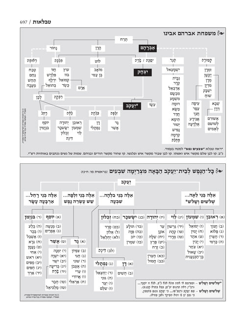 חומש מרובע ארטסקרול גדול