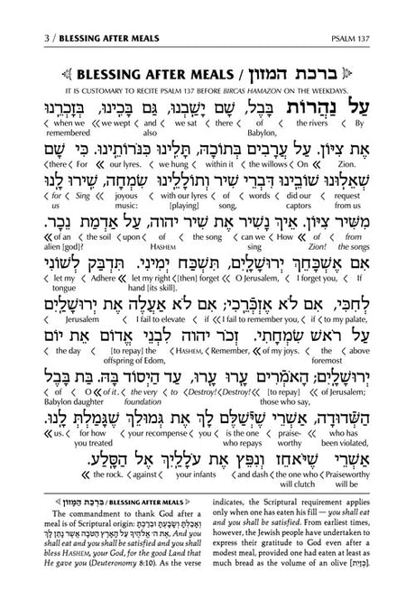 Schottenstein Ed Interlinear Birchon - White Stamped Cover