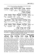 Schottenstein Ed Interlinear Birchon - White Stamped Cover
