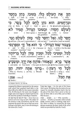 Schottenstein Ed Interlinear Birchon - White Stamped Cover