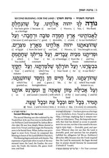 Schottenstein Ed Interlinear Birchon - White Stamped Cover