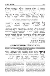 Schottenstein Interlinear Pesach Machzor Full Size Ashkenaz