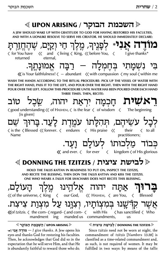 Interlinear Siddur Weekday Full Size With Binding- Ashkenaz - Schottenstein Edition