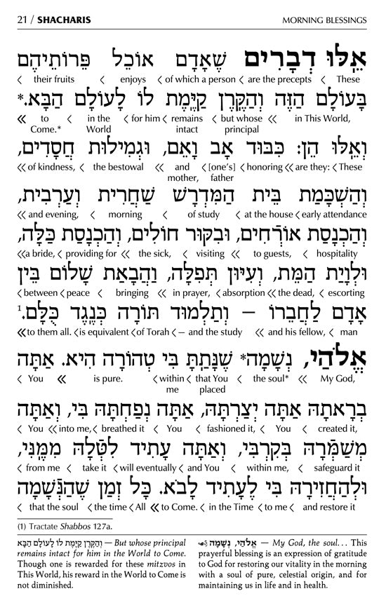 Interlinear Siddur Weekday Full Size With Binding- Ashkenaz - Schottenstein Edition