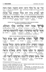 Interlinear Siddur Weekday Full Size With Binding- Ashkenaz - Schottenstein Edition
